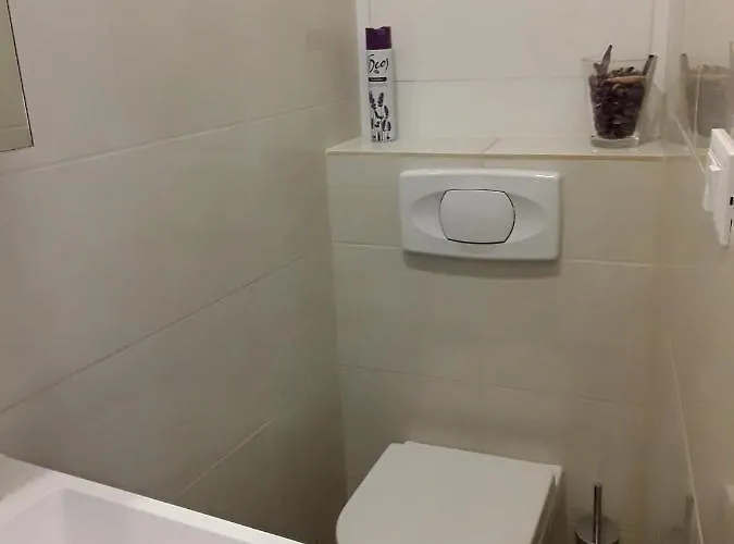 בית הארחה Soba Bosa אופטיה